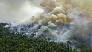 حرائق الغابات الحالي في البرازيل