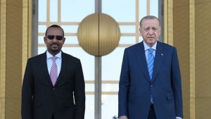أردوغان يستقبل أبي أحمد الصورة من موقع رئاسة الجمهورية التركية 
